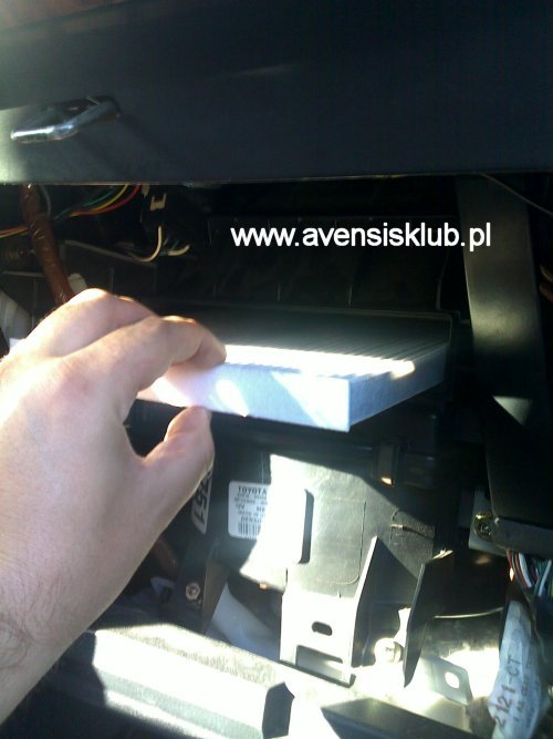 FORUM AVENSIS KLUB POLSKA [Avensis T25] Odgrzybianie